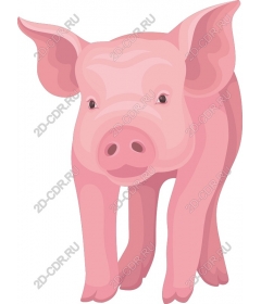  Adorable pink pig