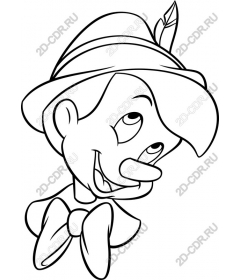  Fancy boy in a hat