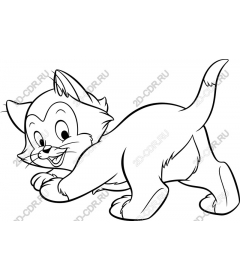  Игривый котенок