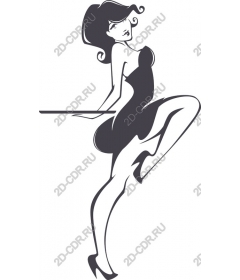  Elegant stylish lady in a black dress