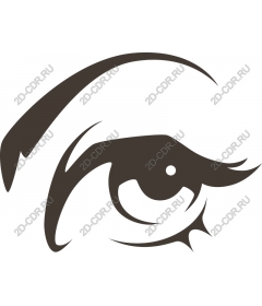  An elegant eye