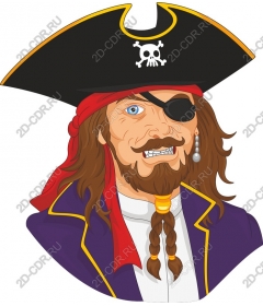  Brave Pirate