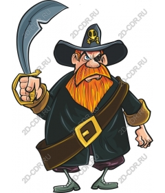 The character of ferocious pirate