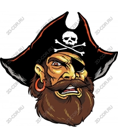  Fierce Pirate