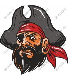  Brave Pirate
