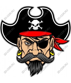  Adventures await: bold pirate