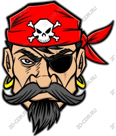 The pirate captain