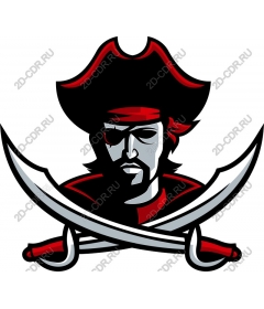  Brave Pirate