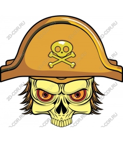 Pirate skull in a cocked hat