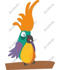 Tropical bird