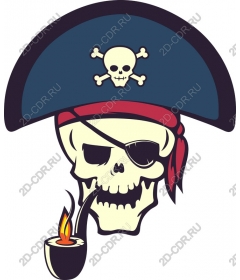  Classic pirate skull