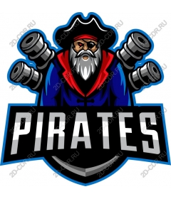 Pirate Commander