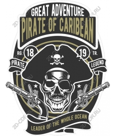 Pirate of the Caribbean adventure