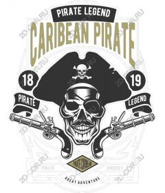 The Legend Of The Caribbean Pirate