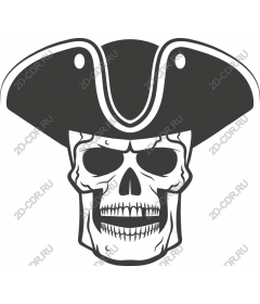 Pirate skull in a cocked hat