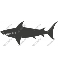 Dynamic Shark