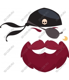  The charismatic face of a pirate