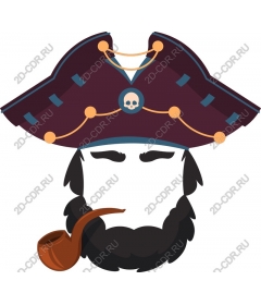 Whimsical Pirate