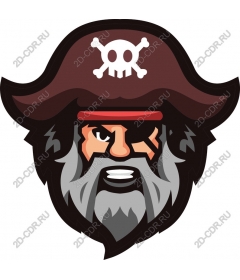Fearsome Pirate