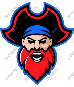  Mascot fierce pirate