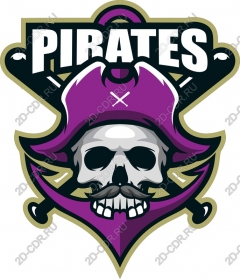  Logo pirate skull