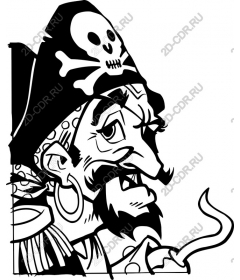 Arrrr! Charismatic pirate