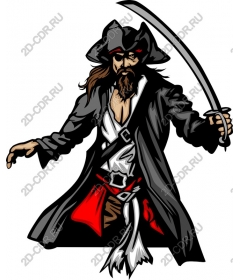 Pirate Warrior