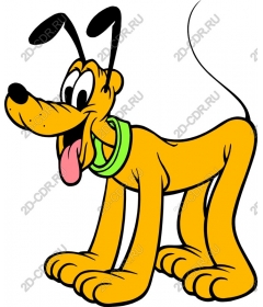 Playful dog