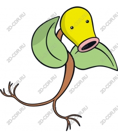  Fancy plant