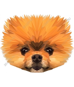  Pomeranian geometric