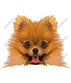  Pomeranian polygon
