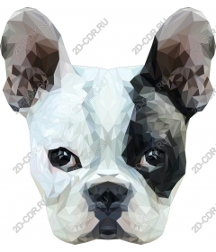  Polygonal French bulldog