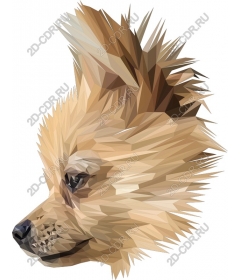  Polygon Pomeranian