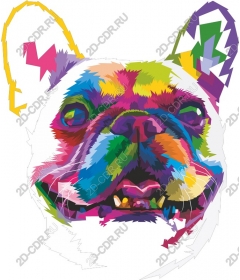  Colorful French bulldog