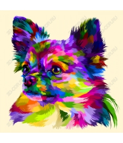  Bright Chihuahua