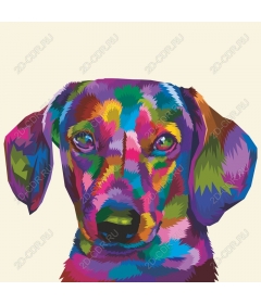  Bright colorful dog