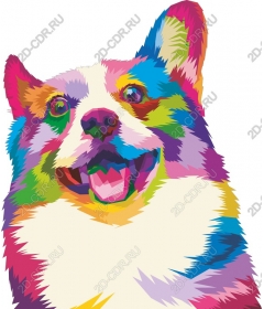  Bright Corgi