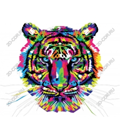  Bright tiger