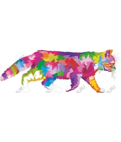  Bright colourful cat