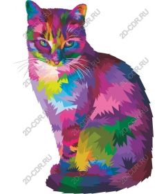  Colorful cat