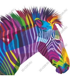  Multi-colored Zebra