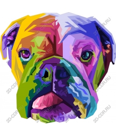  Colorful geometric dog portrait