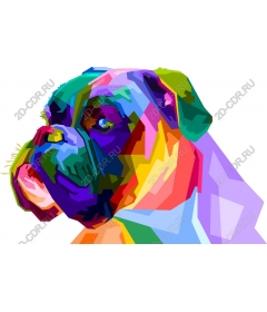  Colorful dog-boxer