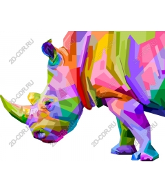  Color Rhino