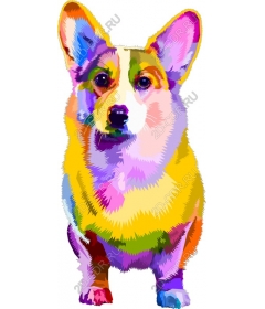  Bright Corgi