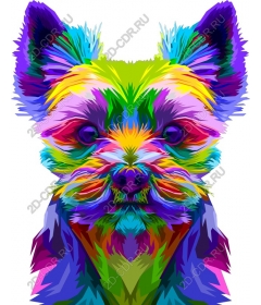  Colourful Yorkshire Terrier