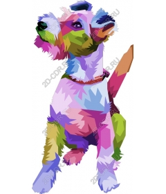  Colorful playful dog