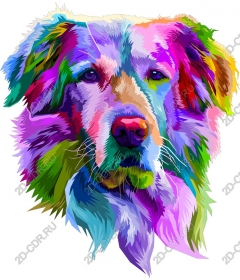  Colorful portrait of a dog