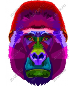  Bright gorilla