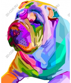  Colorful Shar Pei